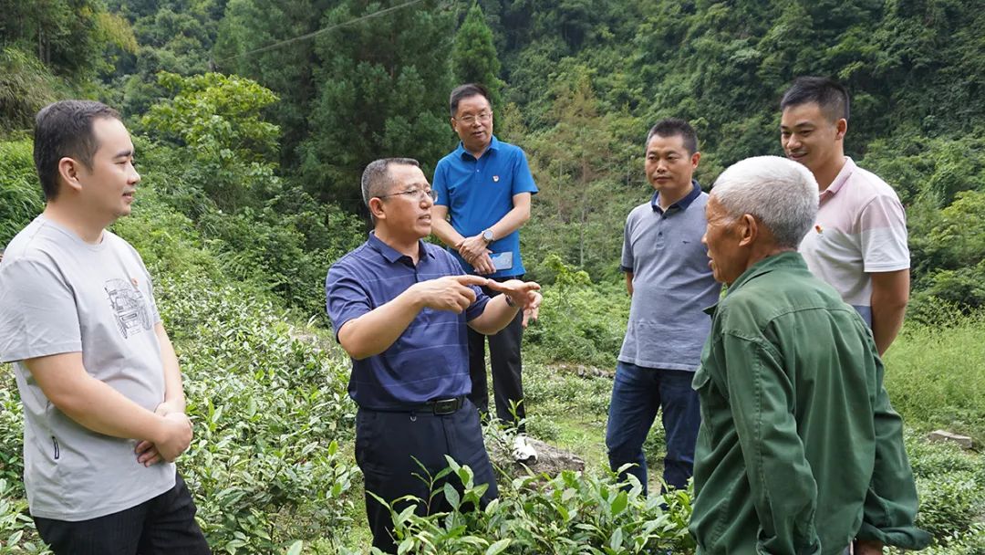 GGBET(集团)有限公司官网